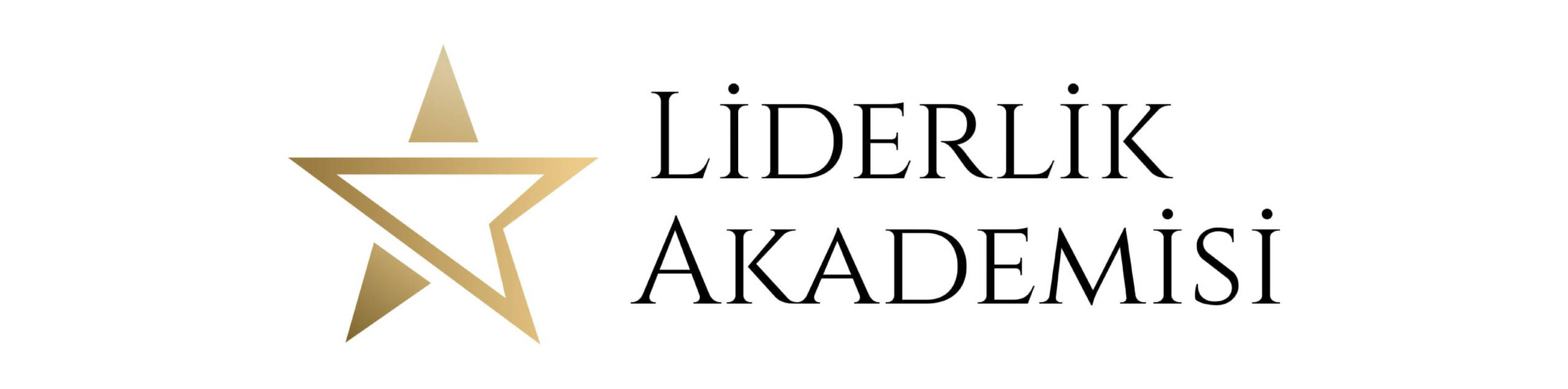 Liderlik Akademisi Liderlik Akademisi